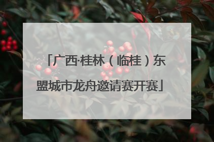 广西·桂林（临桂）东盟城市龙舟邀请赛开赛